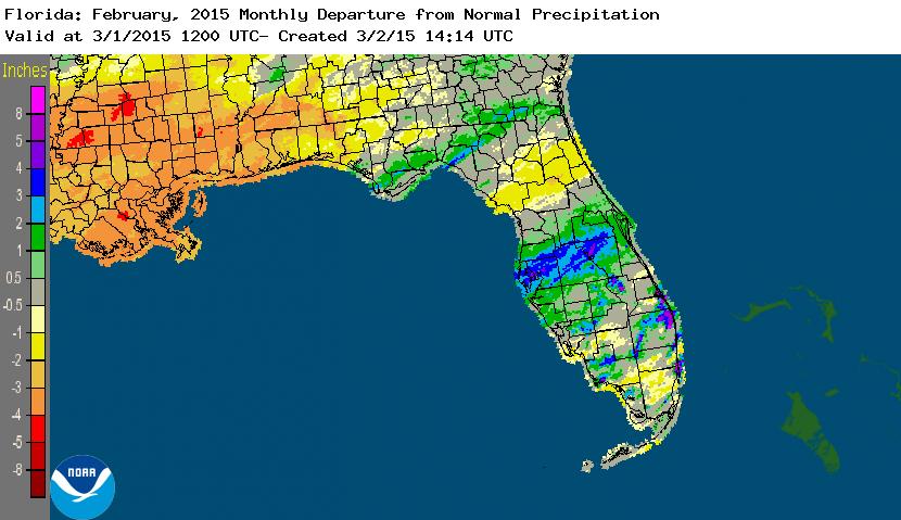 Rainfall graphic