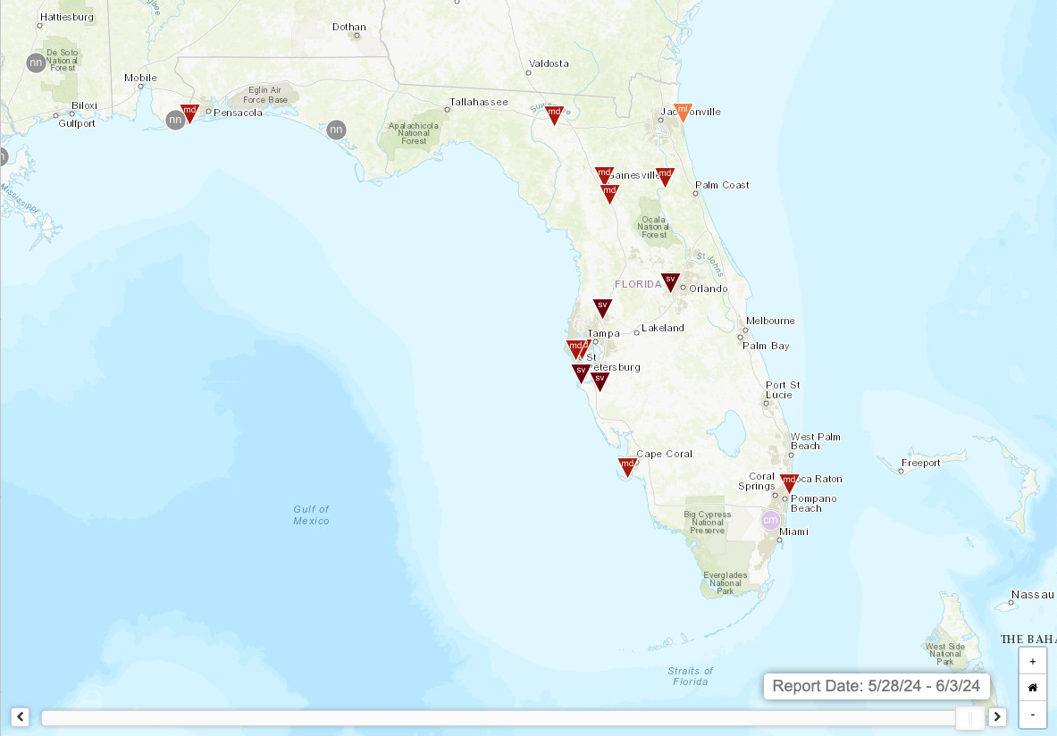 CoCoRaHS_Condition_Monitoring_reports_May28-June3_2024 image