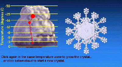 Grow Snow Crystals