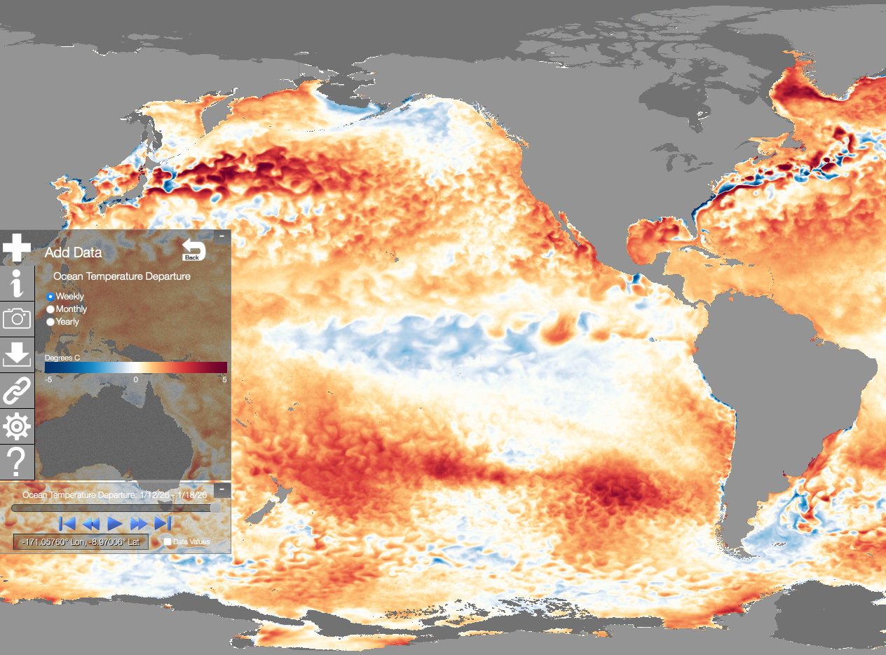 global-ssta-Jan2026 image